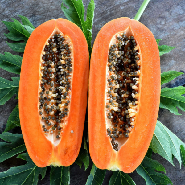 Dehydrated Papaya 100% Natural 50g - 1.7oz - Image 2