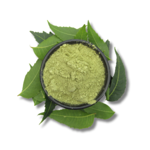 Neem Powder (Azadirachta indica) - Image 3