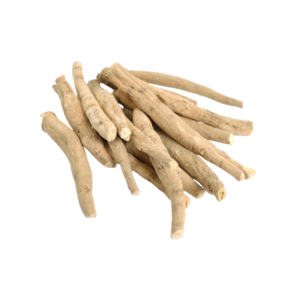 Ashwagandha/Withania somnifera
