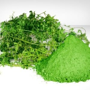 Welpenela/Ballon Wine TEA (Cardiospermum halicacabum)