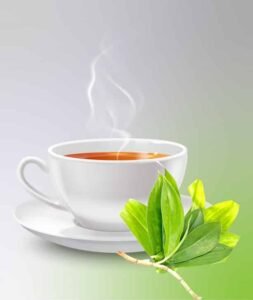 Thebu Leaf TEA ( Insulin Tea ) - Image 4
