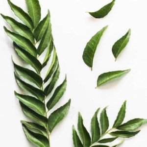 Dehydrated Curry Leaves (Murraya koenigii)