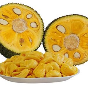 Dehydrated Jackfruit (Artocarpus heterophyllus)