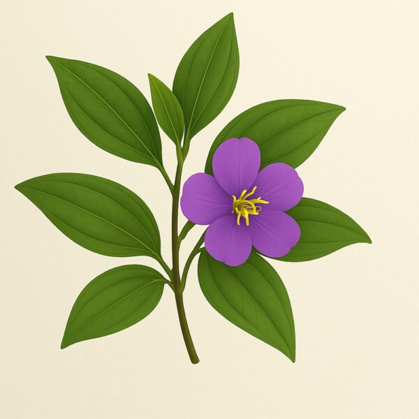 Cropceylon Heen Bovitiya Powder - Image 4