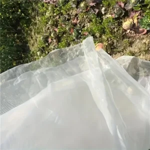 Insect Mesh