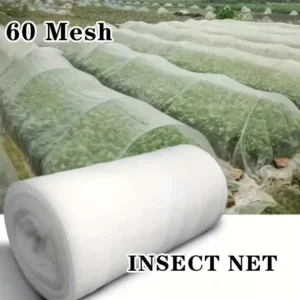 Insect Mesh