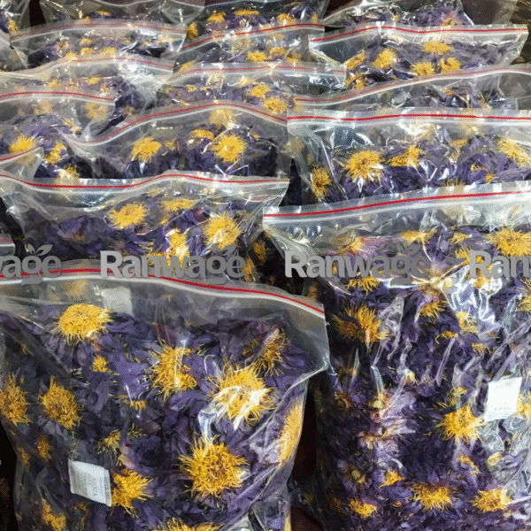 Premium dehydrated blue lotus flowers Nymphaea caerulea 1kg bulk pack from Sri Lanka