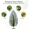 PE Material Fruit Tree Protective Net Bags with Zipper and Drawstring - Bird, Pest, and Deer Barrier Mesh Cover for Apple Trees and Blueberry Bushes - Insect and Cicada Protection Nets - Image 4