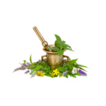 Herbs