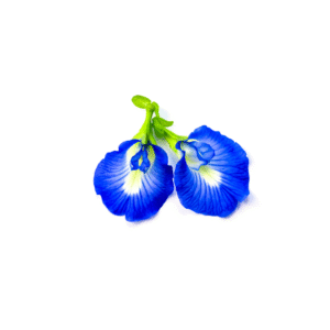 Dried Blue Butterfly Pea Flowers | Clitoria ternatea – 1 Kilo (35.2 Oz) – Free Shipping with UPS