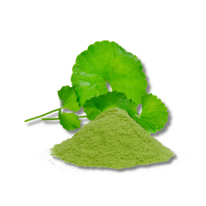 Gotukola/Centella Asiatica Powder - 100% Natural - 100g