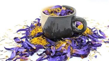 Blue Lotus flowers benefits,