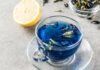 Butterfly Pea flower tea benefits